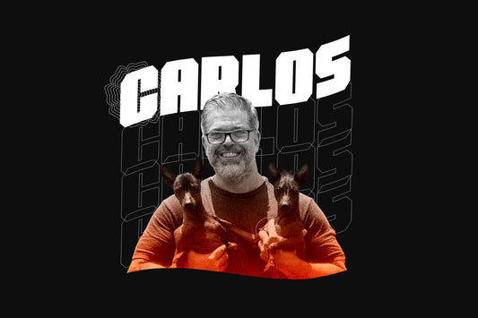Carlos Albuquerque